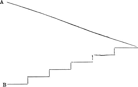 Fig 2-Amateurs Greenhouse Conservatory-0017