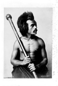 Fijian man holding a club, photograph by Burton Brothers, 1884, b&w negative