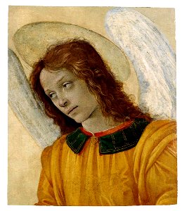 Filippino Lippi - Buste d'ange, Vers 1495