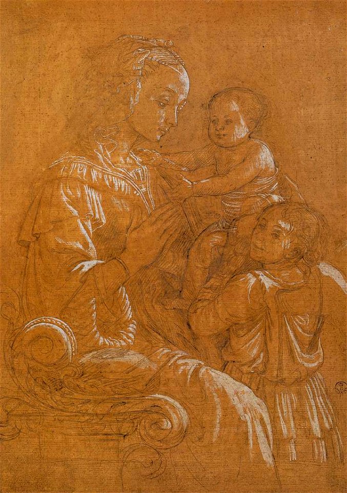 Filippo lippi, disegno per la lippina
