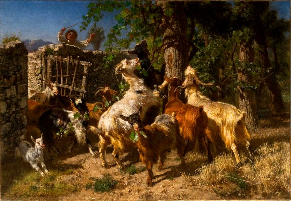 Filippo Palizzi chèvres