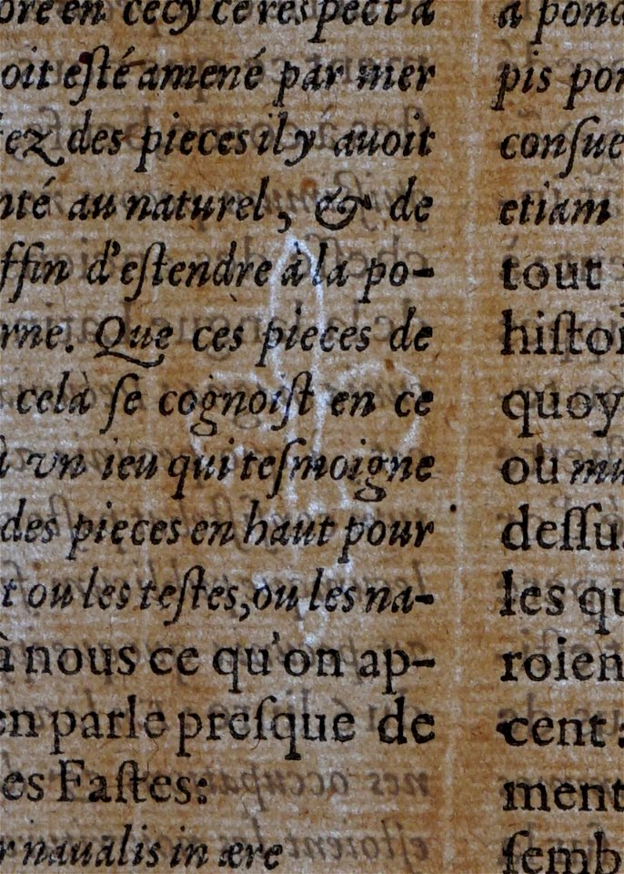 Filigrane lys 06728