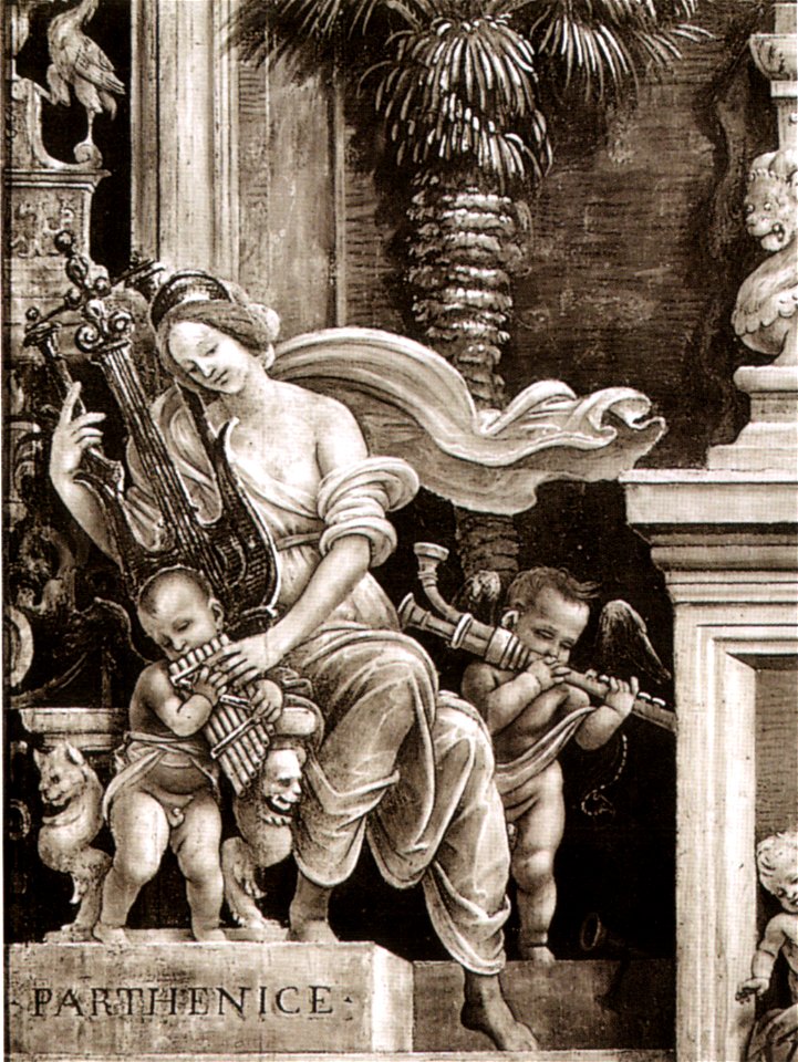 Filippino, smn, parthenice (musa pagana)