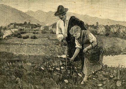 Fiori e dolci parole, - quadro di Noè Bordignon