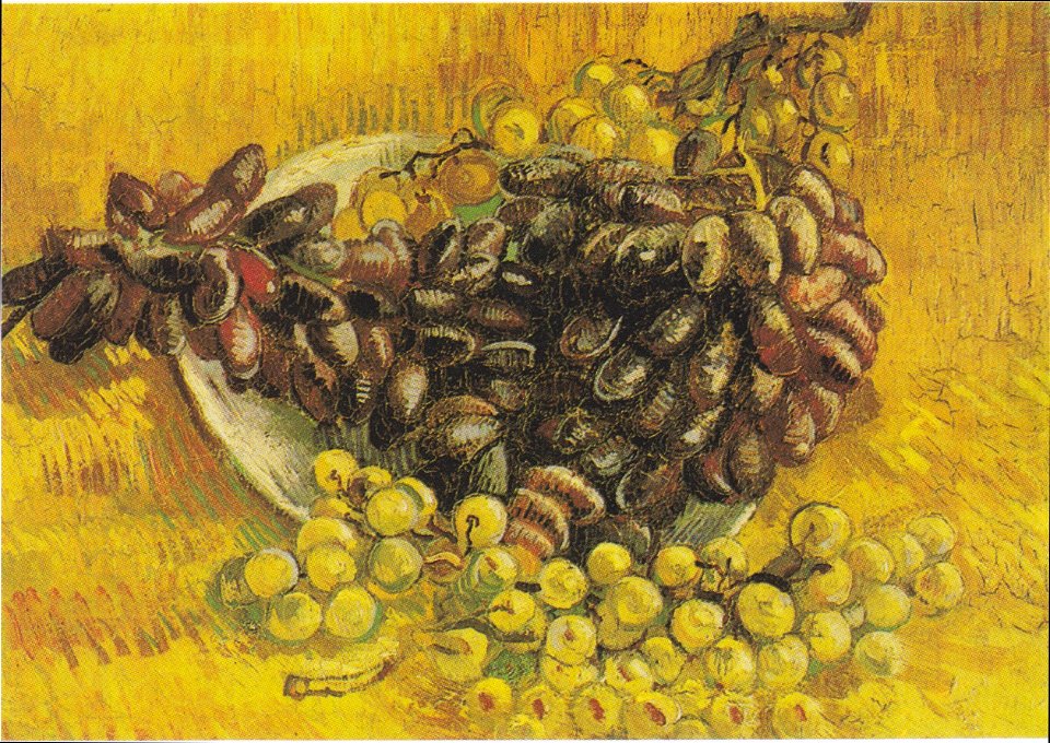 Van Gogh - Stillleben mit Weintrauben