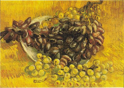 Van Gogh - Stillleben mit Weintrauben