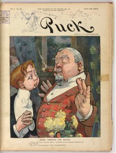 Going through the rapids - Frank A. Nankivell 1901. LCCN2010651480