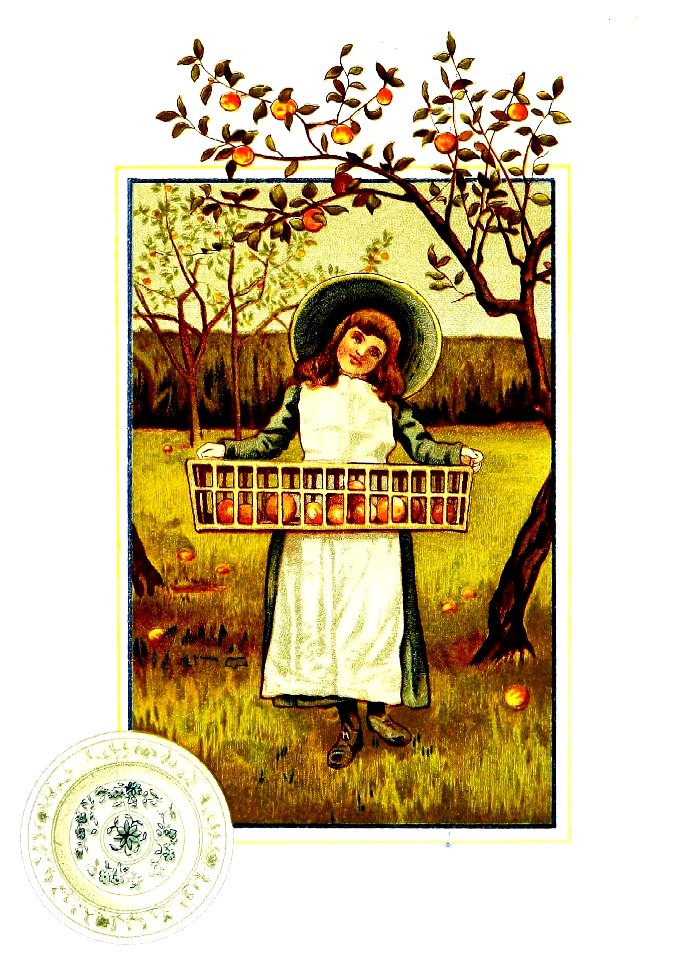 Golden Apples (J.G. Sowerby)