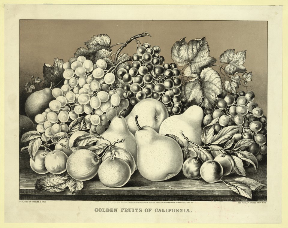 Golden fruits of California LCCN94509112
