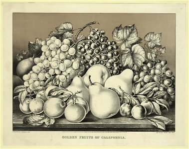Golden fruits of California LCCN94509112