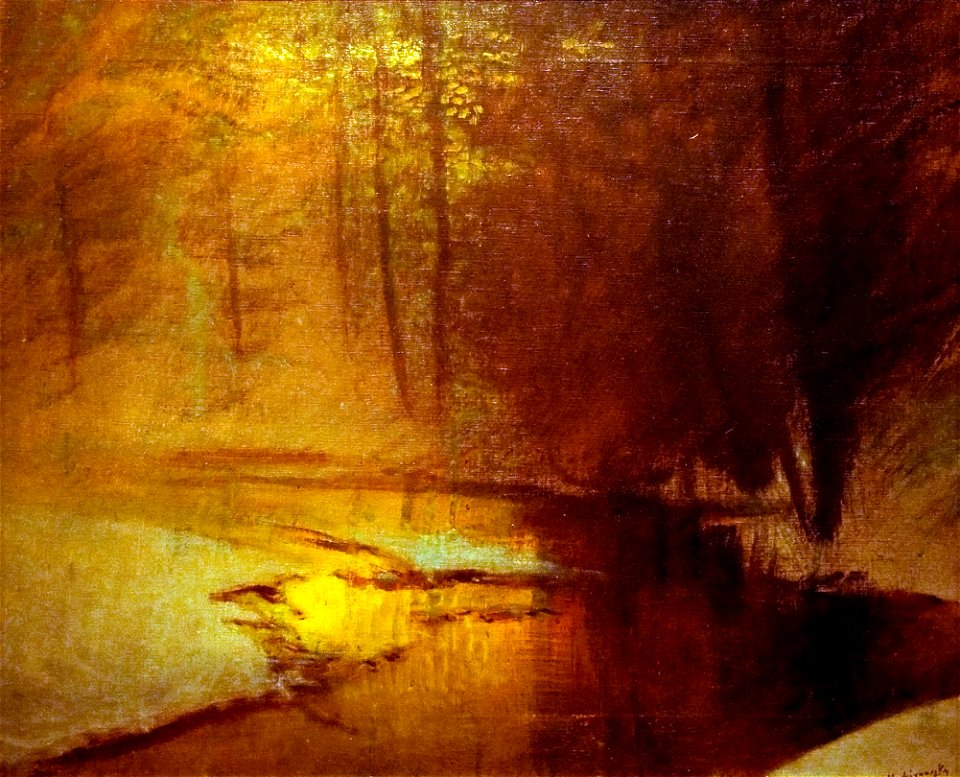 Golden Lights in the Winter Forest