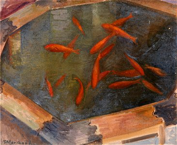 Goldfish P5359