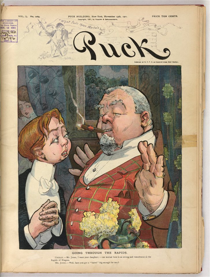 Going through the rapids - Frank A. Nankivell 1901. LCCN2010651480