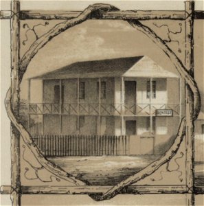 First Dentist office in Honolulu