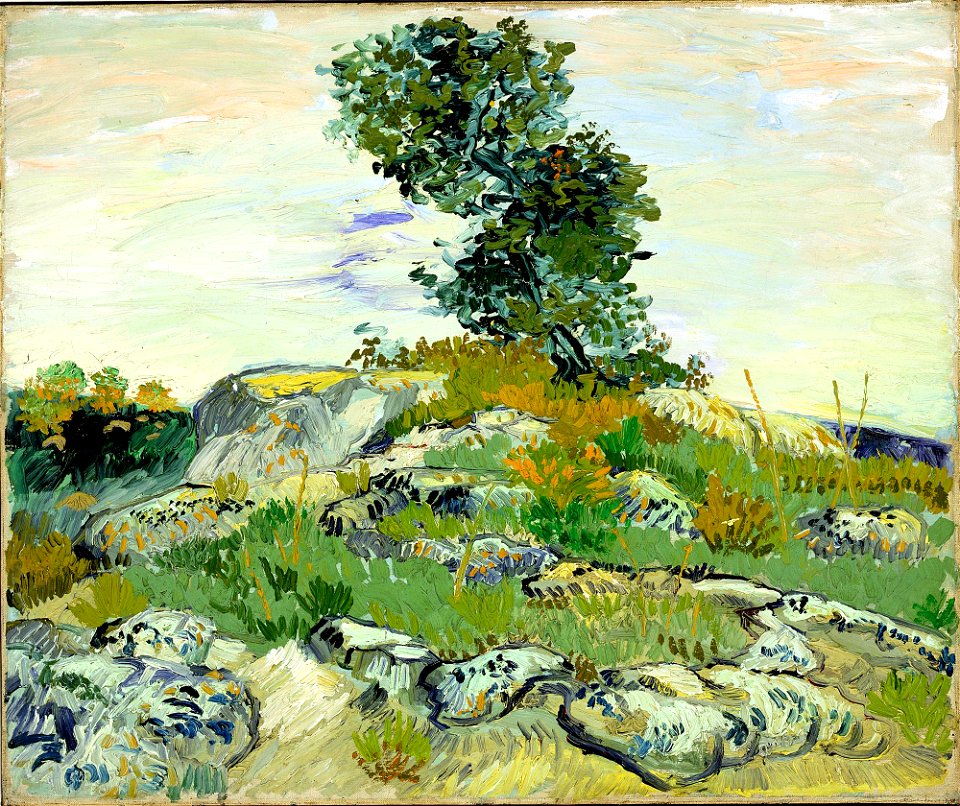 Vincent van Gogh - Collines rocheuses de chênes