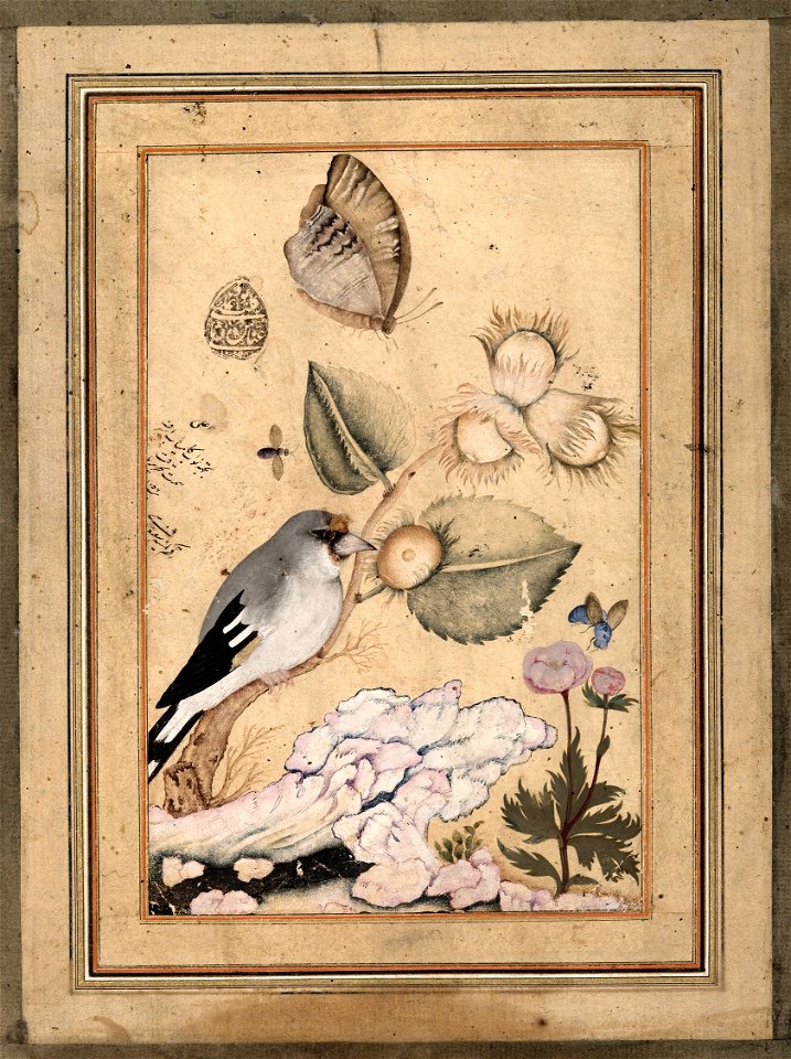 Gol O Morgh by Shafi `Abbasi