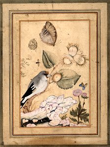 Gol O Morgh by Shafi `Abbasi