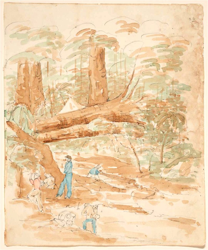 Gold mining, Driving Creek, Coromandel. B-182-008