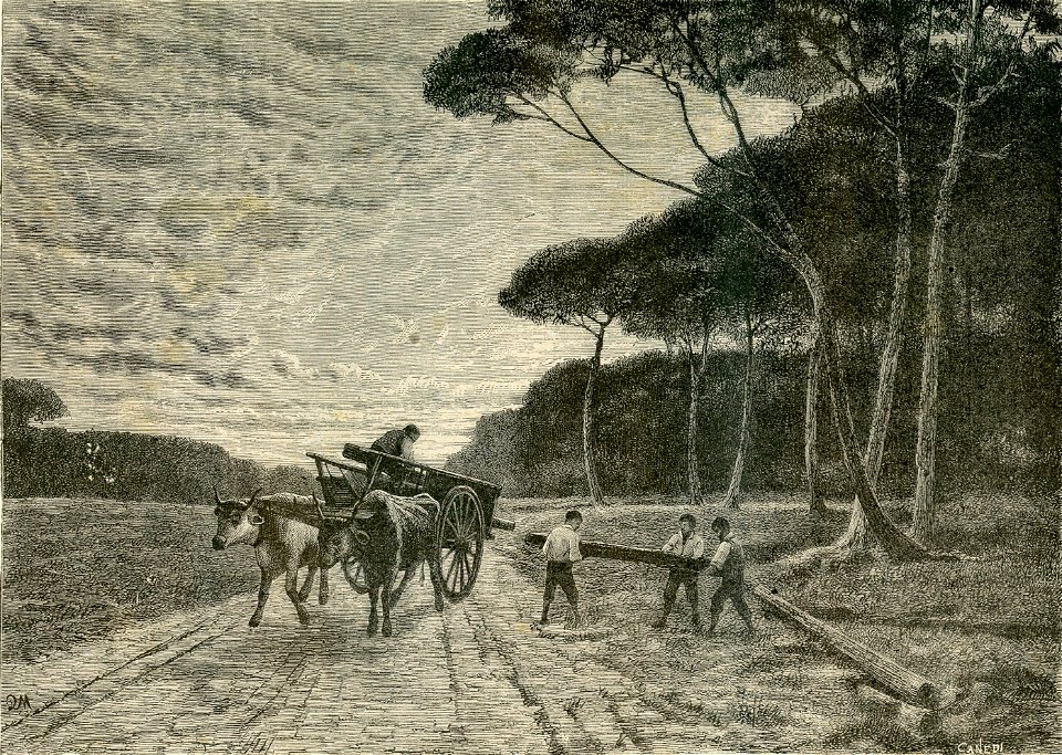 Gombo (campagna toscana), quadro di Emanuele Bertea