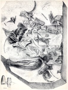 Goniopholis crassidens