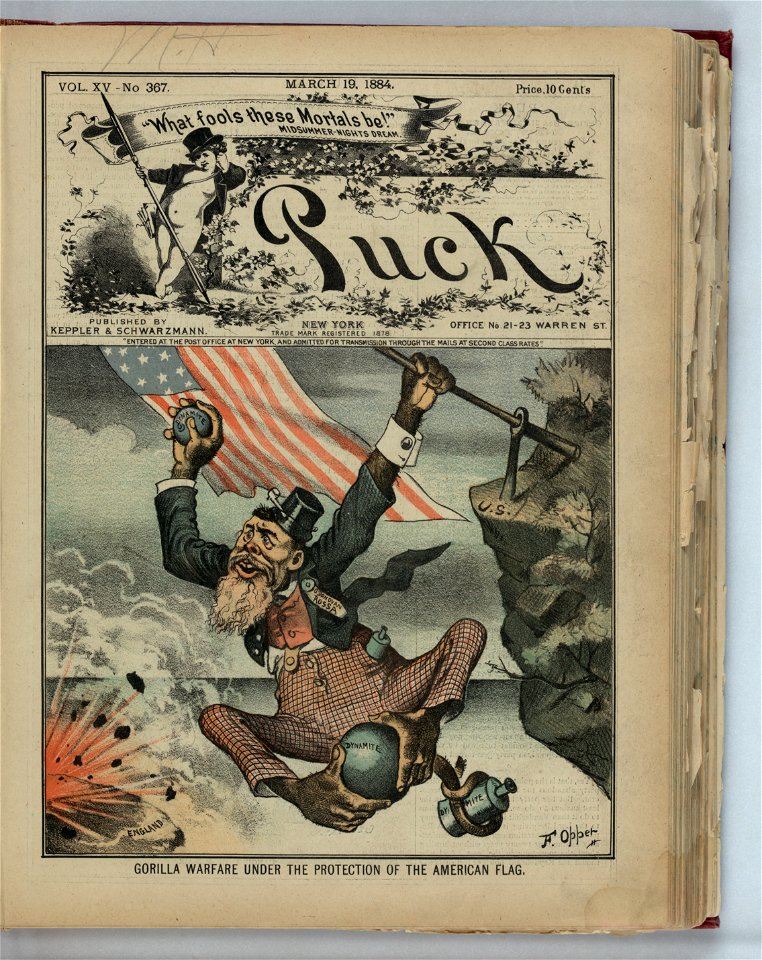 Gorilla warfare under the protection of the American flag - F. Opper. LCCN2012645183