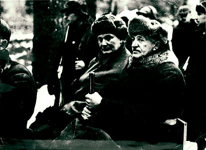 Goring Moscicki