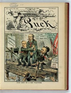 Good men on a bad platform - Zimmerman. LCCN2011660678