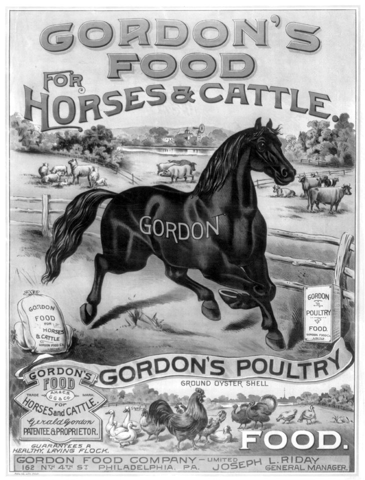 Gordon's food for horses & cattle LCCN2005694416