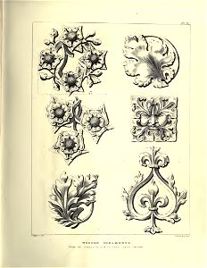 Gothic Ornaments, selected fom various ancient buildings, both in England and Franc, during the years 1828, 1829, and 1839 - Agustus Pugin 20