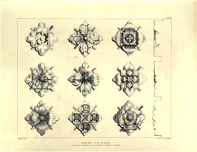 Gothic Ornaments, selected fom various ancient buildings, both in England and Franc, during the years 1828, 1829, and 1839 - Agustus Pugin 24