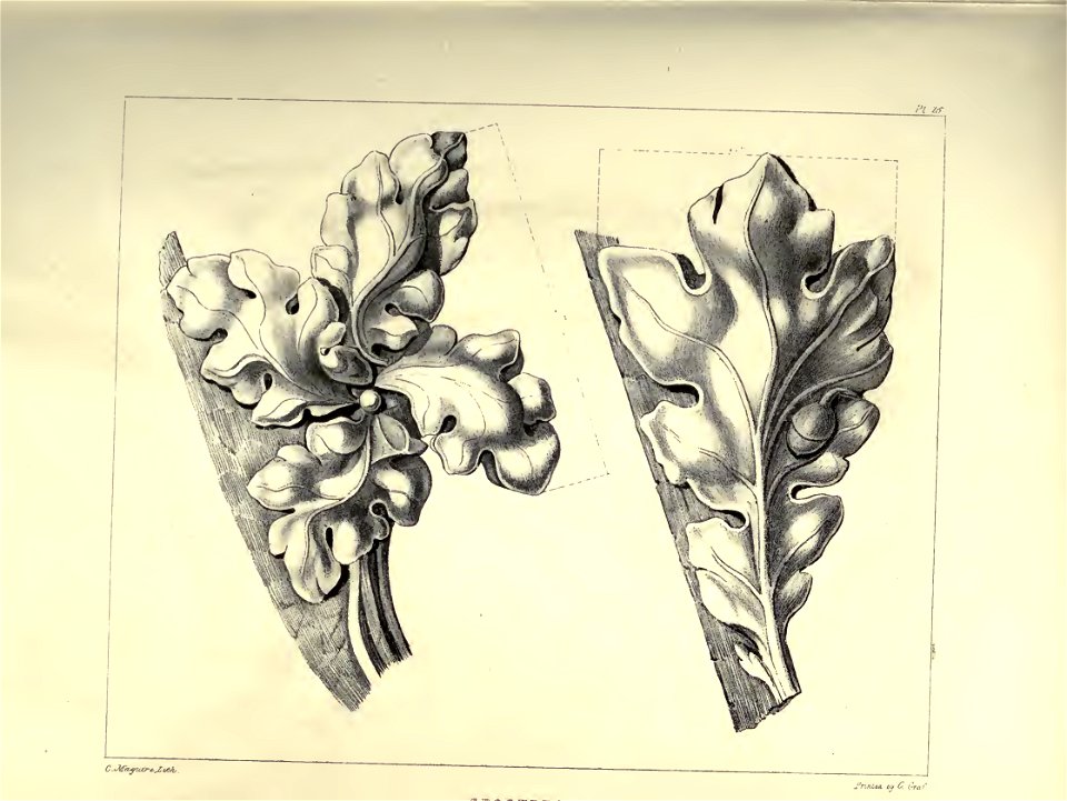 Gothic Ornaments, selected fom various ancient buildings, both in England and Franc, during the years 1828, 1829, and 1839 - Agustus Pugin 14