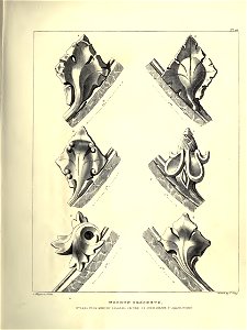 Gothic Ornaments, selected fom various ancient buildings, both in England and Franc, during the years 1828, 1829, and 1839 - Agustus Pugin 13