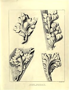 Gothic Ornaments, selected fom various ancient buildings, both in England and Franc, during the years 1828, 1829, and 1839 - Agustus Pugin 17