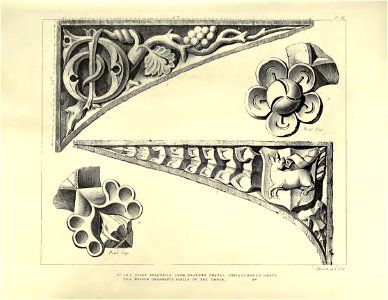 Gothic Ornaments, selected fom various ancient buildings, both in England and Franc, during the years 1828, 1829, and 1839 - Agustus Pugin 29