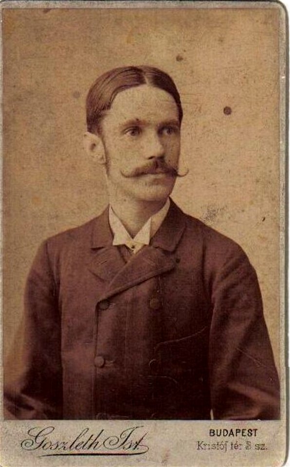 Goszleth Portrait of Gyula Reviczky