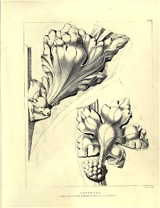 Gothic Ornaments, selected fom various ancient buildings, both in England and Franc, during the years 1828, 1829, and 1839 - Agustus Pugin 15