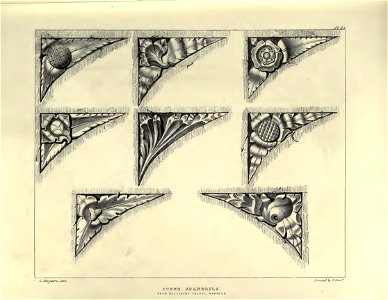 Gothic Ornaments, selected fom various ancient buildings, both in England and Franc, during the years 1828, 1829, and 1839 - Agustus Pugin 31