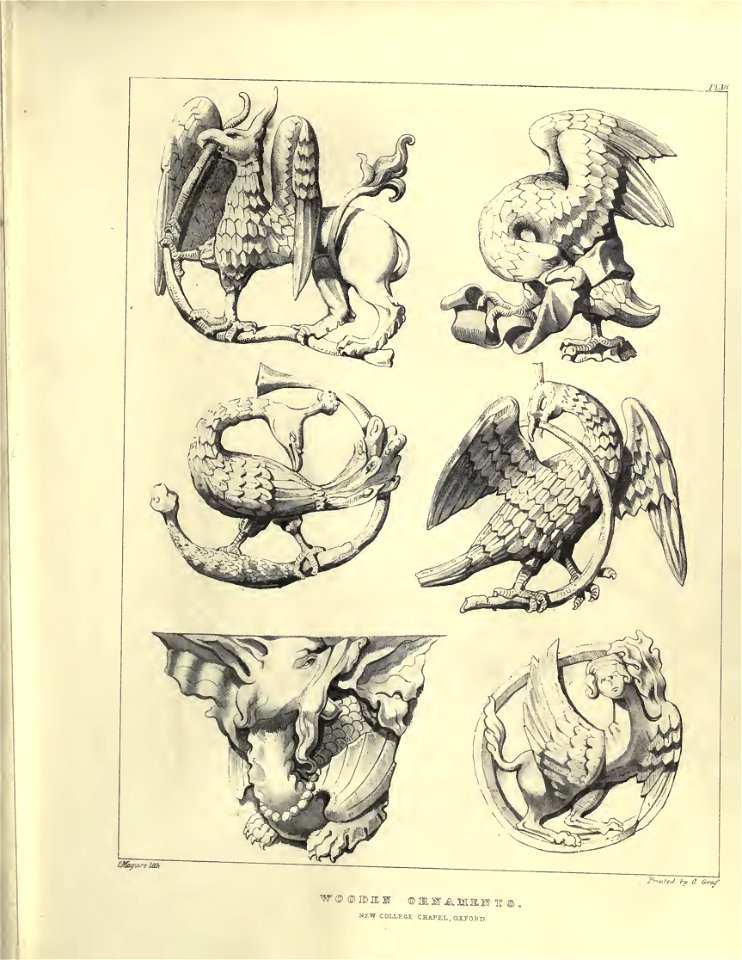 Gothic Ornaments, selected fom various ancient buildings, both in England and Franc, during the years 1828, 1829, and 1839 - Agustus Pugin 39