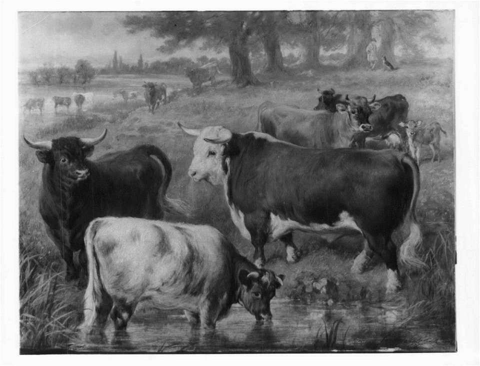 Gourlay Steell (1819-94) - Favourite Cattle at Windsor - RCIN 404096 - Royal Collection