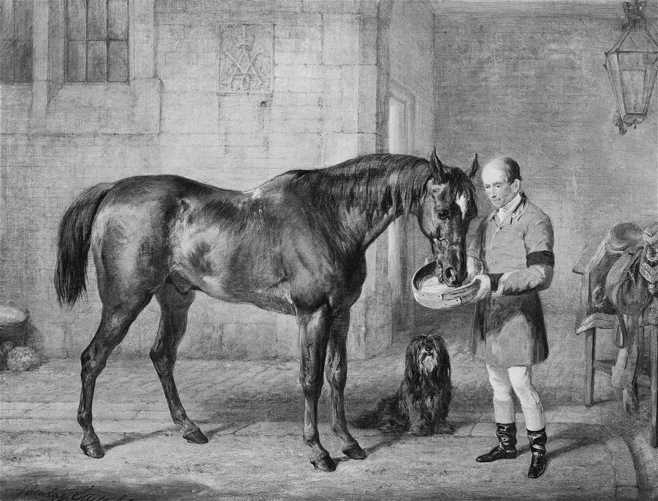 Gourlay Steell (1819-94) - Andrew with Charles Everard - RCIN 401461 - Royal Collection