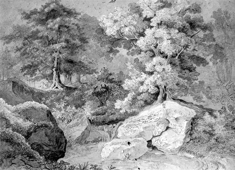 Gottfried Keller Waldlandschaft 1841