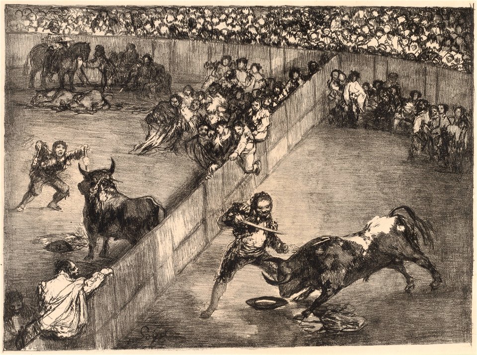 Goya - Bullfight in a Divided Ring