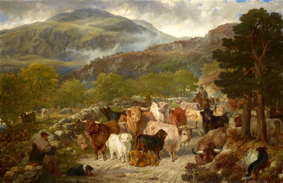 Gourlay Steell (1819-94) - Highland Cattle in the Pass of Leny - RCIN 403647 - Royal Collection