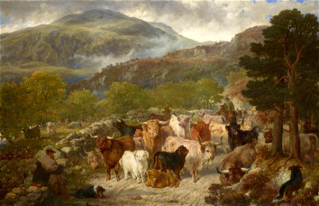 Gourlay Steell (1819-94) - Highland Cattle in the Pass of Leny - RCIN 403647 - Royal Collection