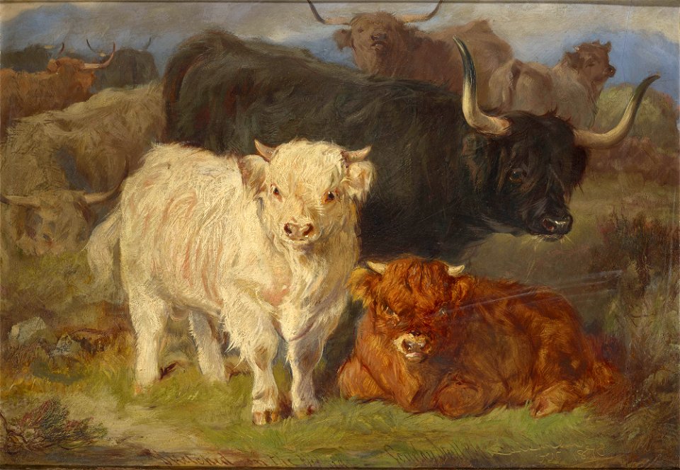 Gourlay Steell (1819-94) - A study of Highland Cattle - RCIN 404116 - Royal Collection