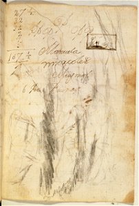 Goya - Cuaderno italiano, p. 163