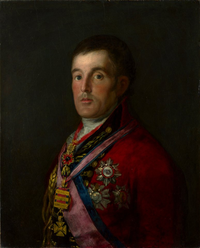 Goya - Duke of Wellington - NG6322