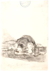 Goya - Mejor fuera vino, D03930