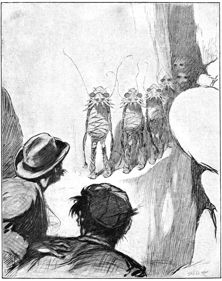 First Men in the Moon (1901) fp130
