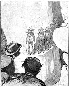 First Men in the Moon (1901) fp130